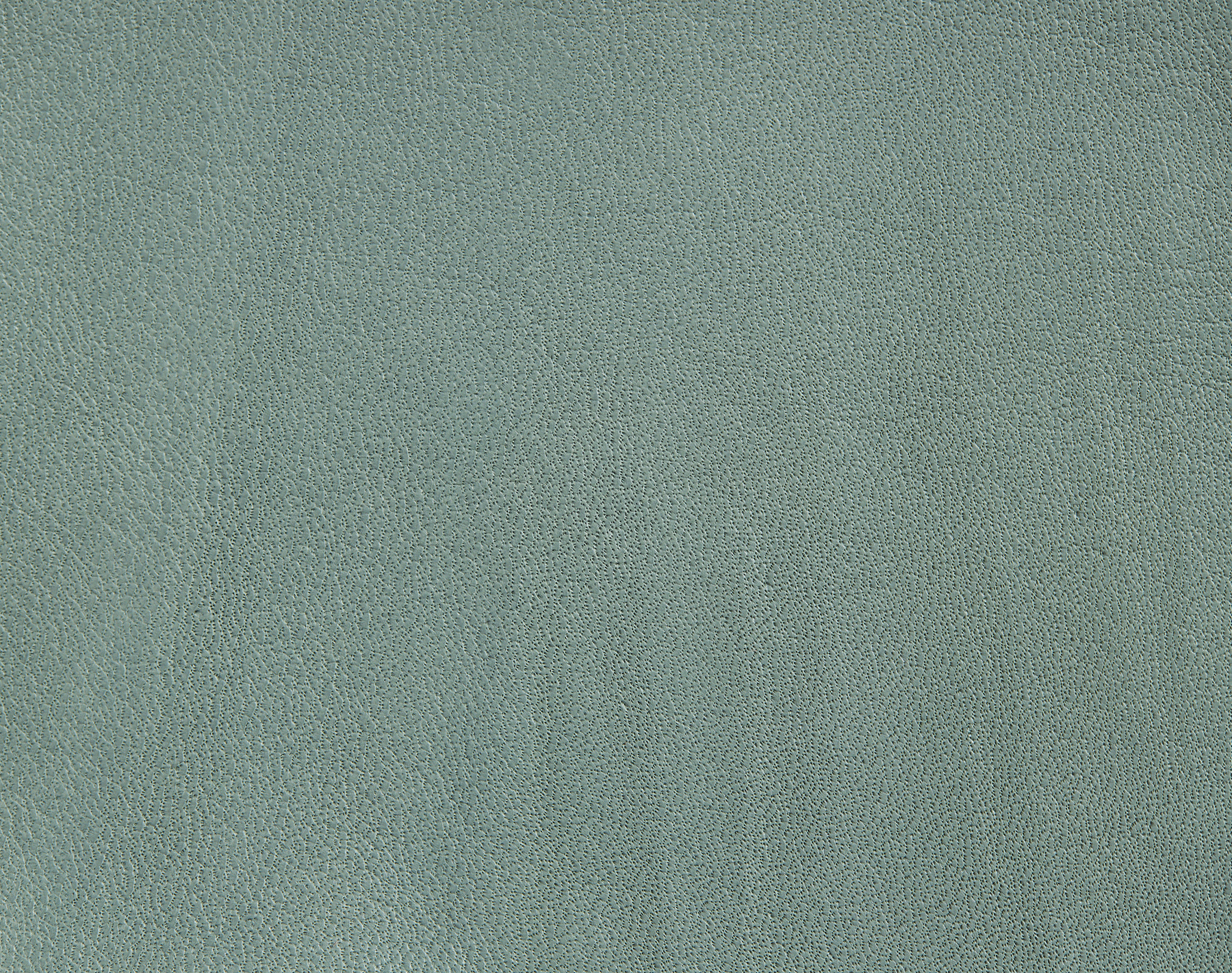 Pelli Granada Green bay